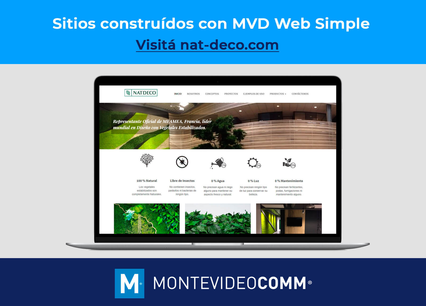 MVD Web Simple